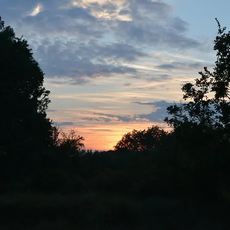 Holiday home Fleur Des Iles