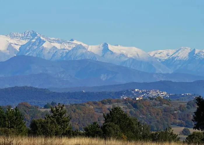 Fleur Des Iles * Saint-Michel-lʼObservatoire