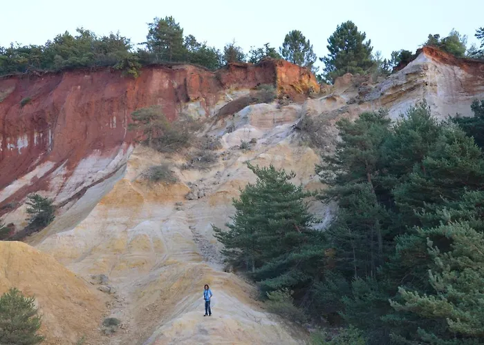 Fleur Des Iles Saint-Michel-lʼObservatoire